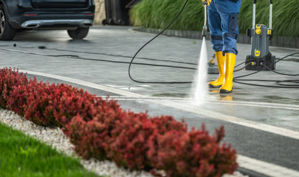 Best Parking Lot Cleaning in Avalon, CA